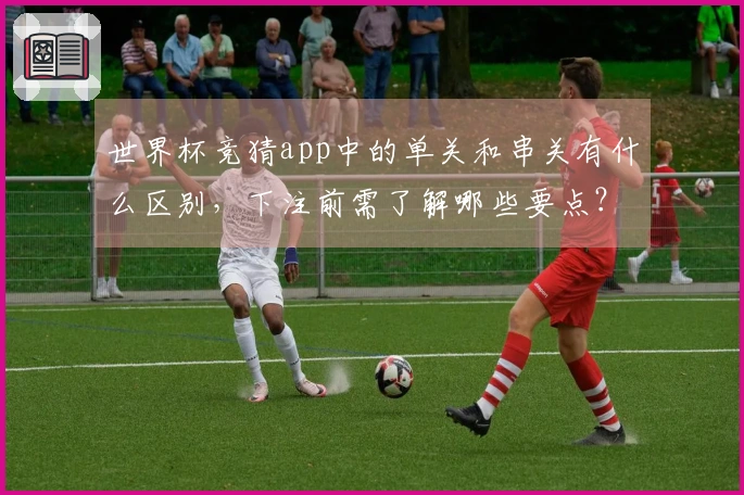 世界杯竞猜app中的单关和串关有什么区别，下注前需了解哪些要点？