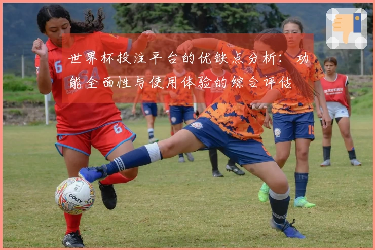 世界杯投注平台的优缺点分析：功能全面性与使用体验的综合评估