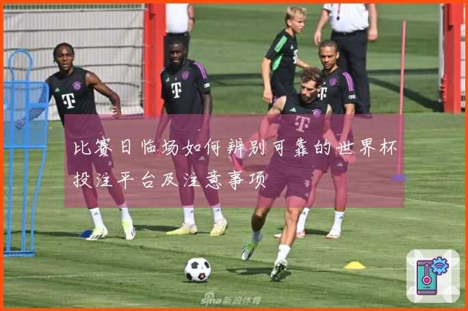 比赛日临场如何辨别可靠的世界杯投注平台及注意事项
