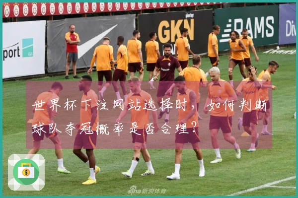 世界杯下注网站选择时，如何判断球队夺冠概率是否合理？