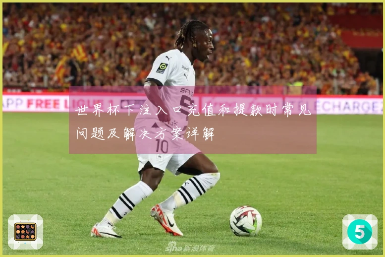 世界杯下注入口充值和提款时常见问题及解决方案详解