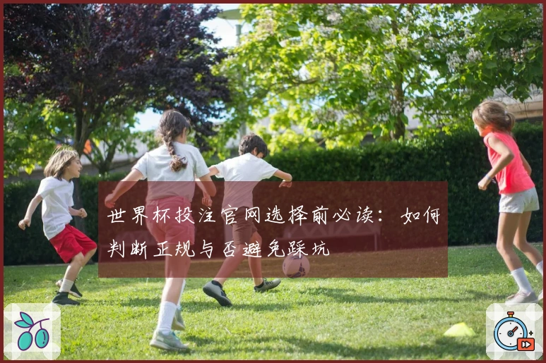 世界杯投注官网选择前必读：如何判断正规与否避免踩坑