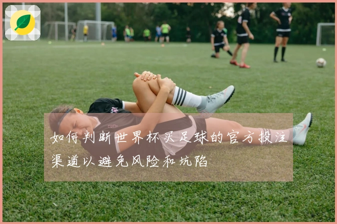 如何判断世界杯买足球的官方投注渠道以避免风险和坑陷