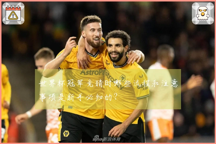 世界杯冠军竞猜时哪些流程和注意事项是新手必知的？