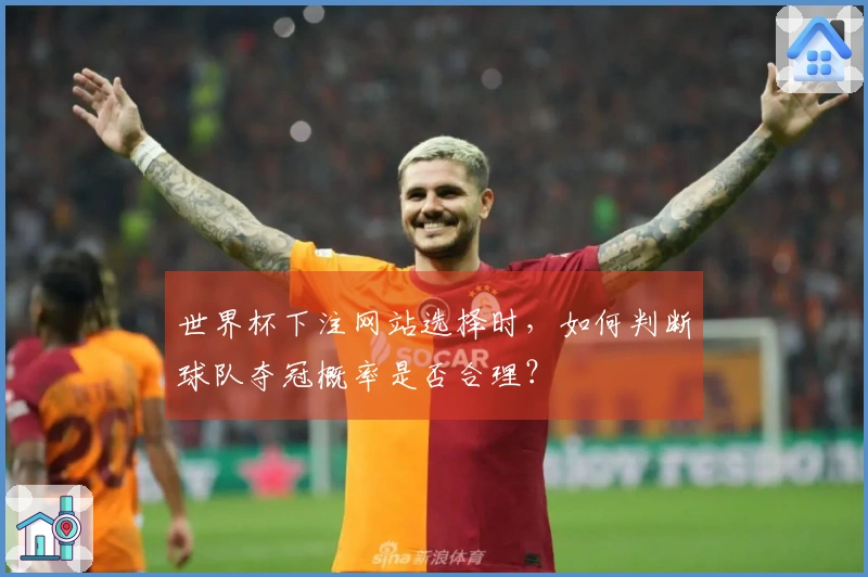 世界杯下注网站选择时，如何判断球队夺冠概率是否合理？