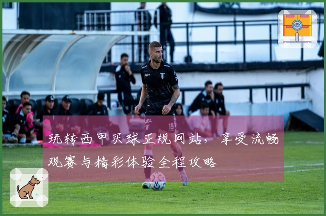 玩转西甲买球正规网站，享受流畅观赛与精彩体验全程攻略