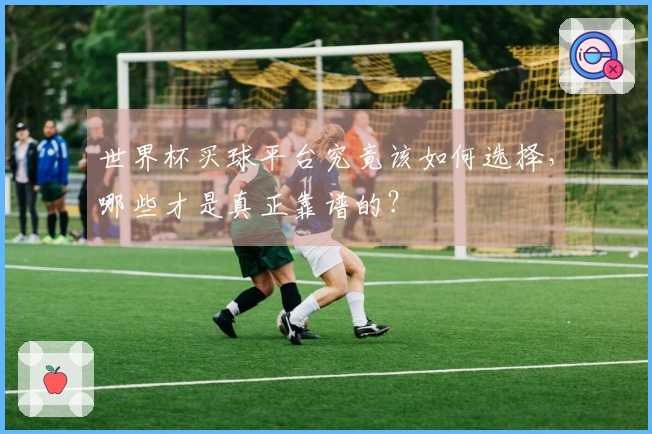 世界杯买球平台究竟该如何选择，哪些才是真正靠谱的？