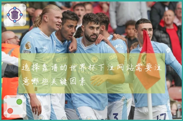 选择靠谱的世界杯下注网站需要注意哪些关键因素