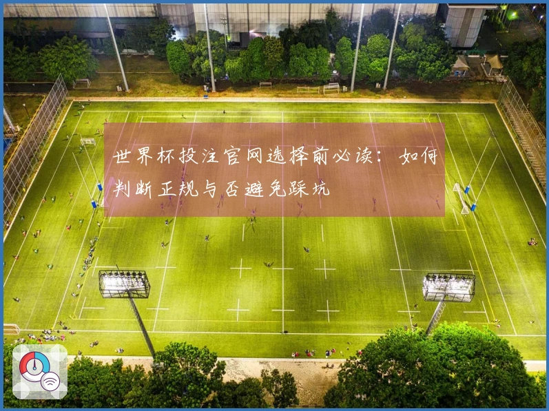 世界杯投注官网选择前必读：如何判断正规与否避免踩坑