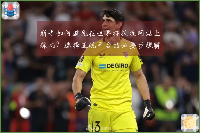 新手如何避免在世界杯投注网站上踩坑？选择正规平台的必要步骤解析