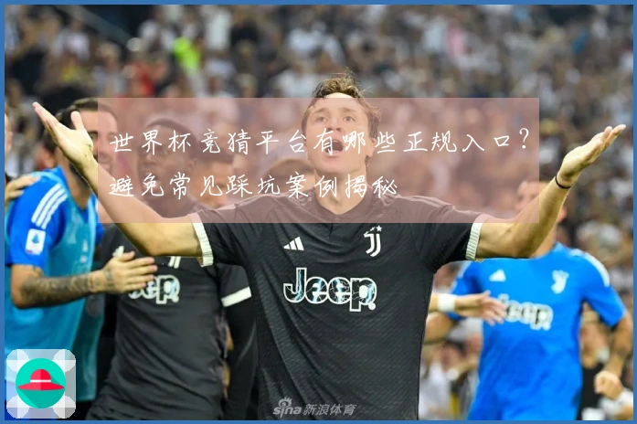 世界杯竞猜平台有哪些正规入口？避免常见踩坑案例揭秘