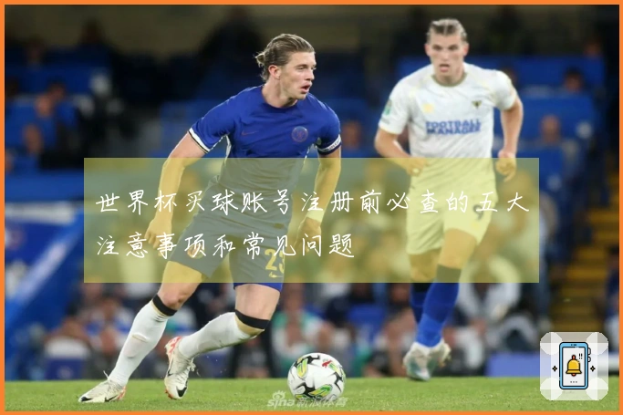 世界杯买球账号注册前必查的五大注意事项和常见问题