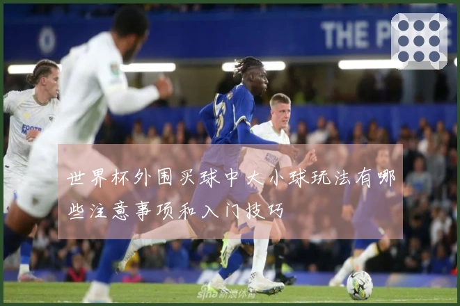 世界杯外围买球中大小球玩法有哪些注意事项和入门技巧