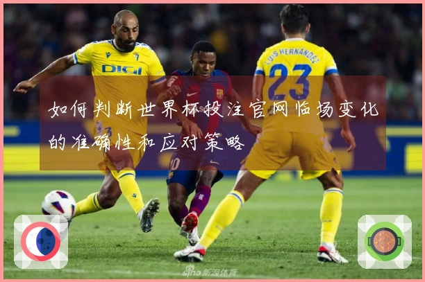 如何判断世界杯投注官网临场变化的准确性和应对策略