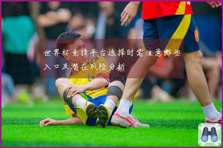 世界杯竞猜平台选择时需注意哪些入口及潜在风险分析