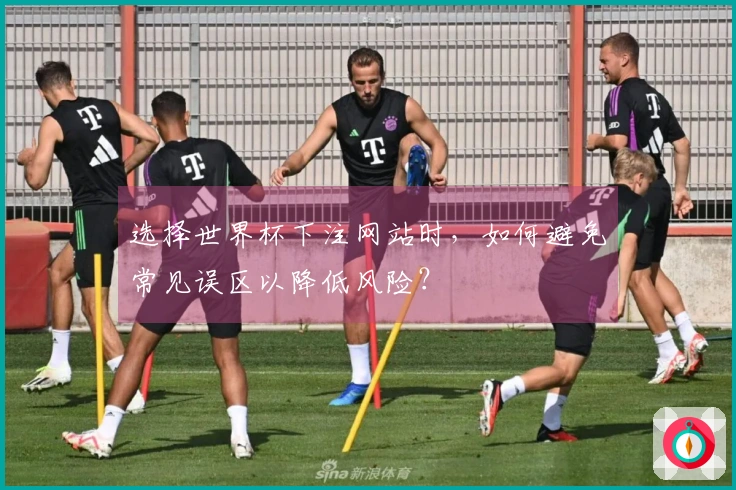 选择世界杯下注网站时，如何避免常见误区以降低风险？