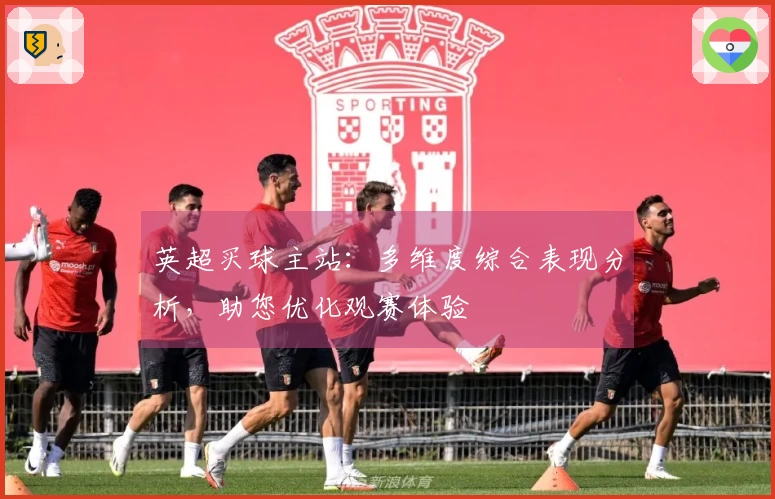 英超买球主站：多维度综合表现分析，助您优化观赛体验