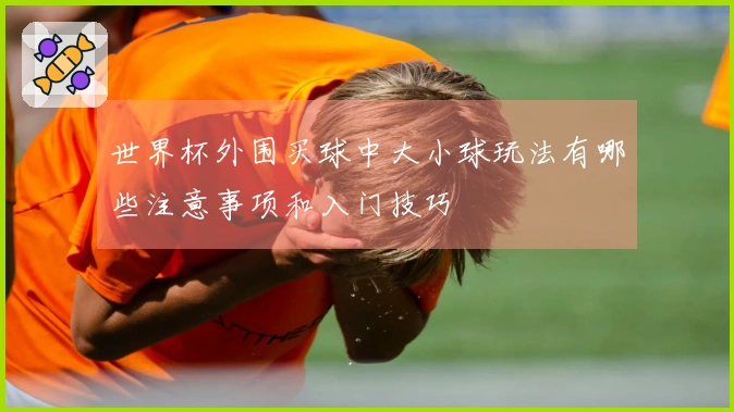 世界杯外围买球中大小球玩法有哪些注意事项和入门技巧
