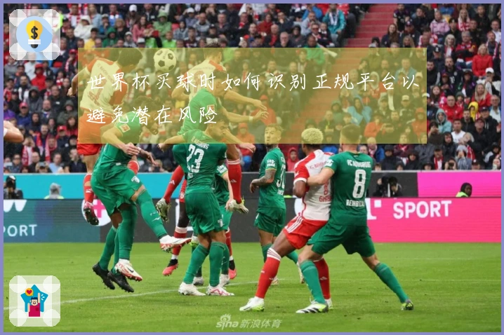 世界杯买球时如何识别正规平台以避免潜在风险