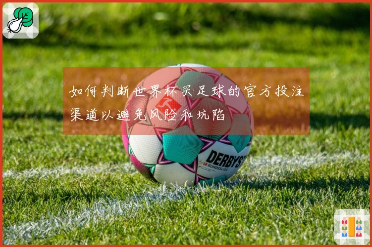 如何判断世界杯买足球的官方投注渠道以避免风险和坑陷