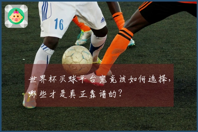 世界杯买球平台究竟该如何选择，哪些才是真正靠谱的？